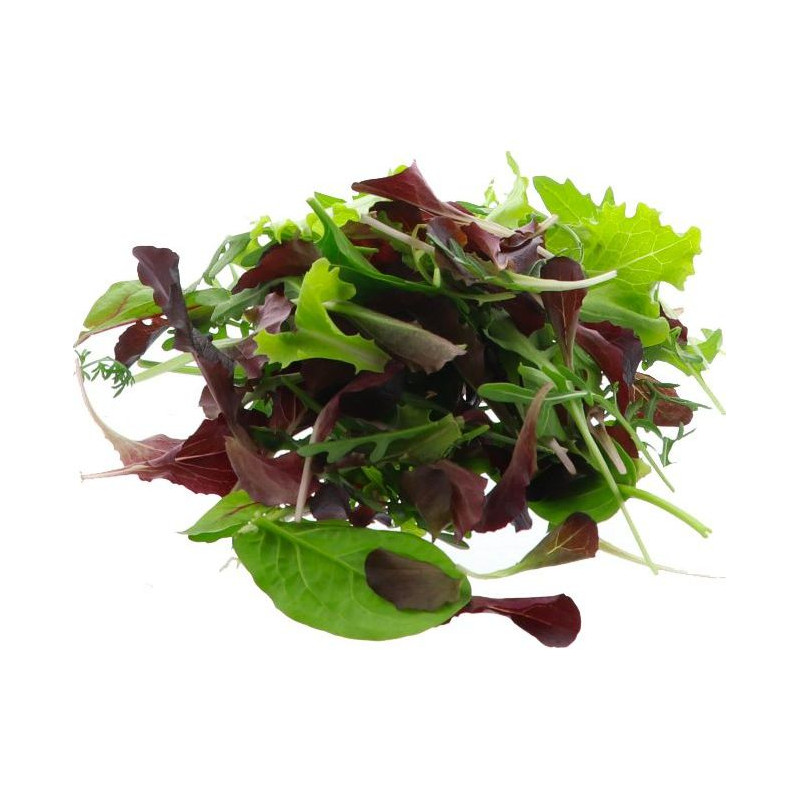 *PRODUIT BLOQUE* MESCLUN 1KG